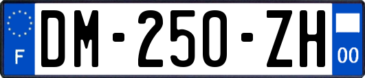 DM-250-ZH