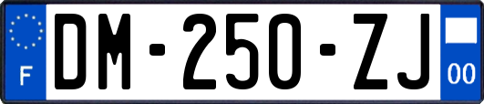 DM-250-ZJ