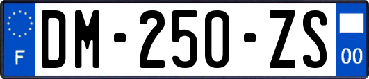 DM-250-ZS