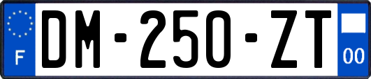 DM-250-ZT