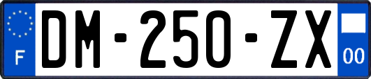 DM-250-ZX