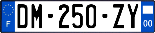 DM-250-ZY