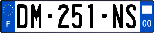 DM-251-NS