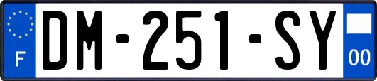 DM-251-SY