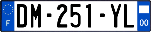 DM-251-YL