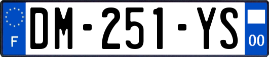 DM-251-YS