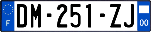 DM-251-ZJ