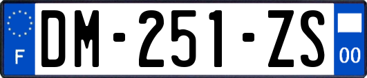 DM-251-ZS