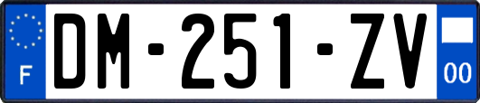 DM-251-ZV