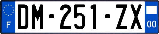 DM-251-ZX