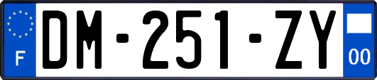 DM-251-ZY