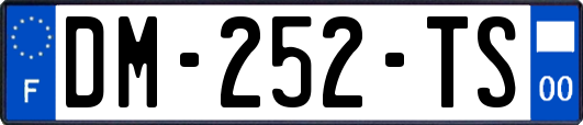 DM-252-TS