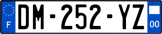 DM-252-YZ