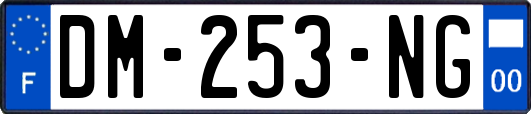 DM-253-NG