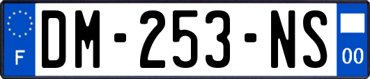 DM-253-NS