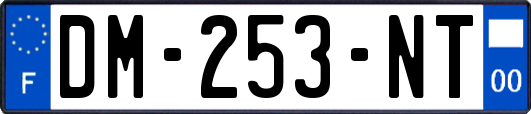 DM-253-NT