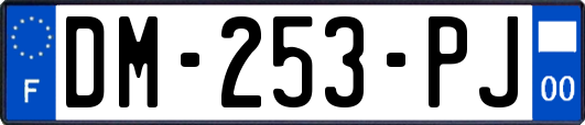 DM-253-PJ