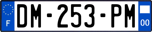DM-253-PM