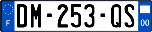 DM-253-QS
