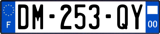 DM-253-QY