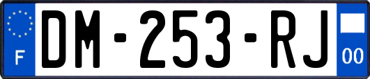 DM-253-RJ
