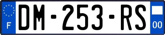 DM-253-RS