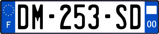 DM-253-SD