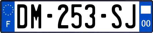 DM-253-SJ