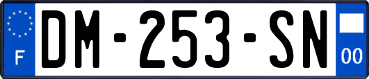 DM-253-SN
