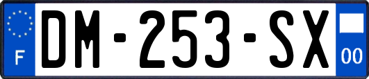 DM-253-SX