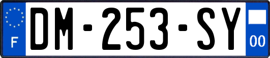 DM-253-SY
