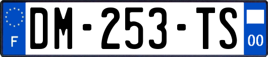 DM-253-TS