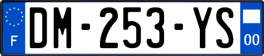 DM-253-YS