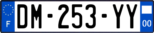 DM-253-YY