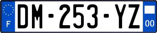 DM-253-YZ