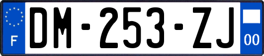 DM-253-ZJ