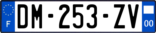 DM-253-ZV