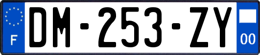 DM-253-ZY