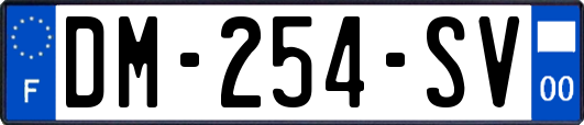DM-254-SV