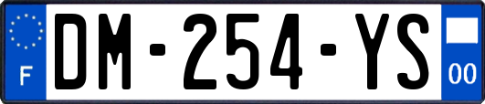 DM-254-YS