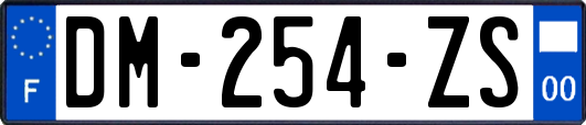 DM-254-ZS