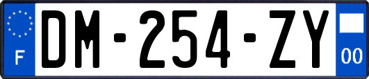 DM-254-ZY