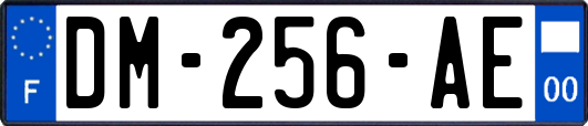 DM-256-AE