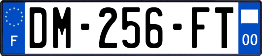 DM-256-FT