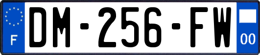 DM-256-FW