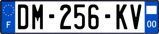 DM-256-KV