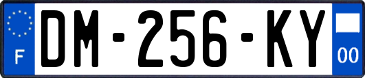 DM-256-KY