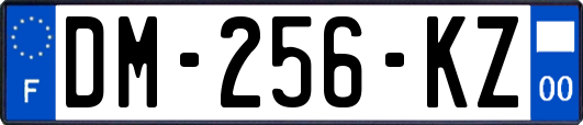 DM-256-KZ