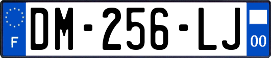 DM-256-LJ