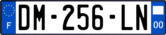 DM-256-LN